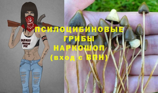 соль курить ск Аркадак