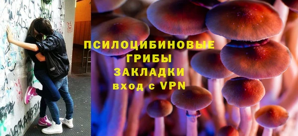 винт Алексеевка