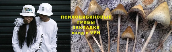 дмт Армянск