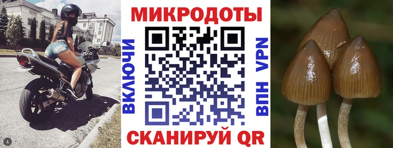 Псилоцибиновые грибы прущие грибы  где купить   Новочеркасск 