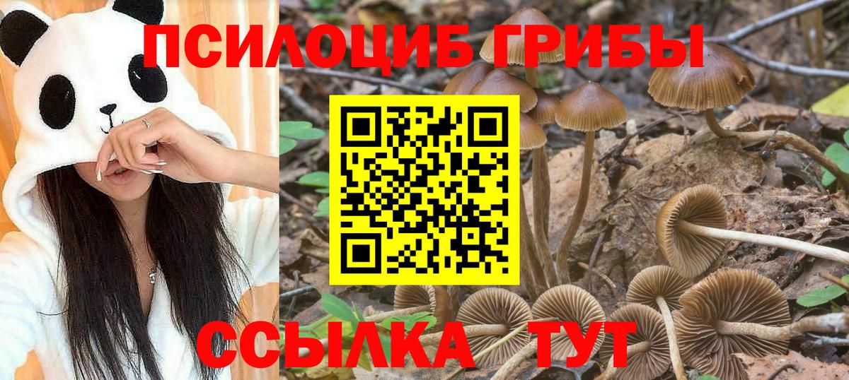 Псилоцибиновые грибы Cubensis  Галлюциногенные грибы MAGIC MUSHROOMS  Вход с VPN  Новочеркасск 