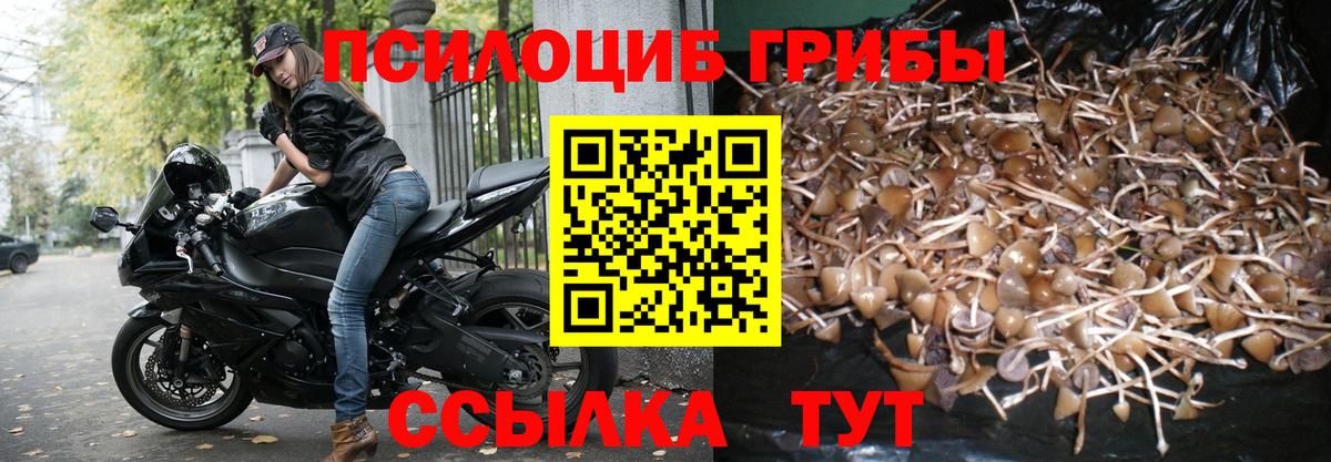 Галлюциногенные грибы MAGIC MUSHROOMS Новочеркасск