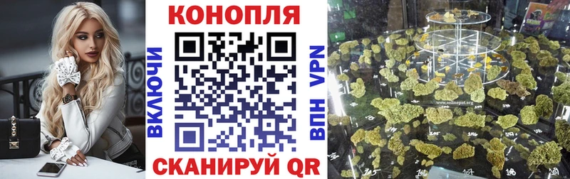 Конопля тримм  продажа наркотиков  Новочеркасск 